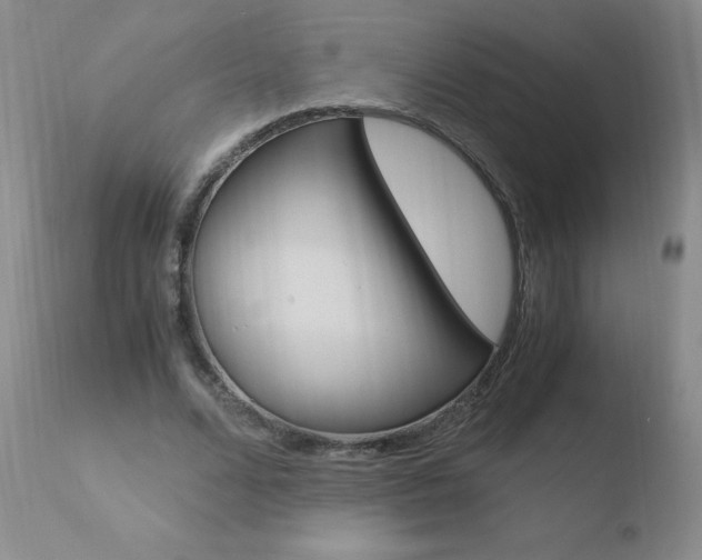 X0000110770680200906150954