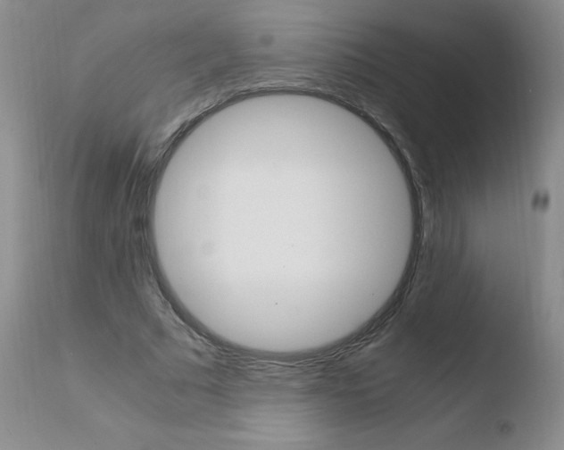 X0000110770681200906150954