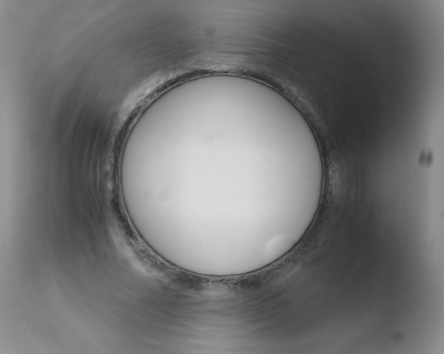 X0000110770682200906150954