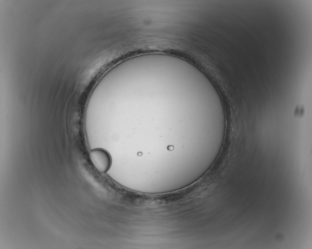 X0000110770683200906150954