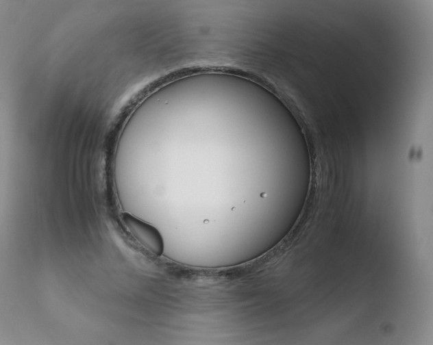 X0000110770684200906150954