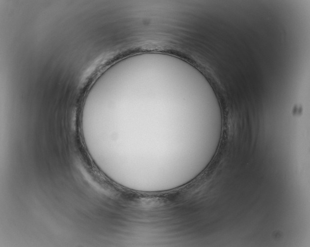 X0000110770686200906150954