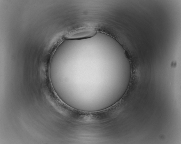 X0000110770688200906150954