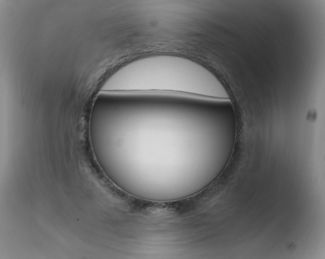 X0000110770689200906150954