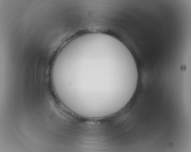 X0000110770690200906150954