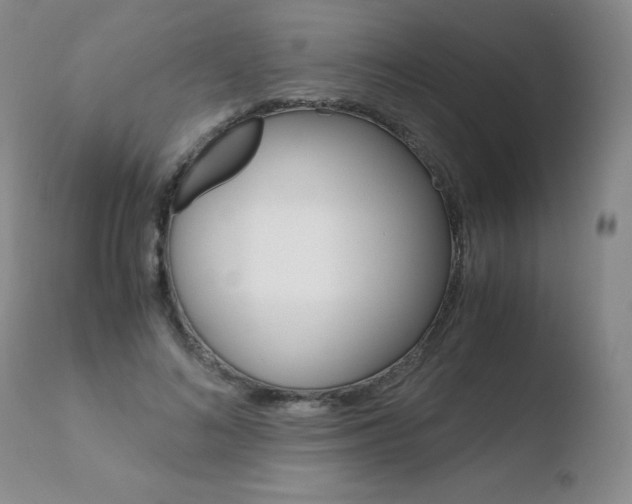 X0000110770692200906150954