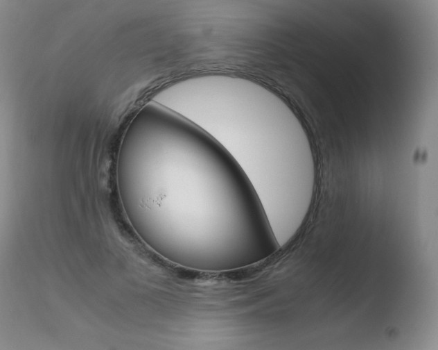 X0000110770693200906150954