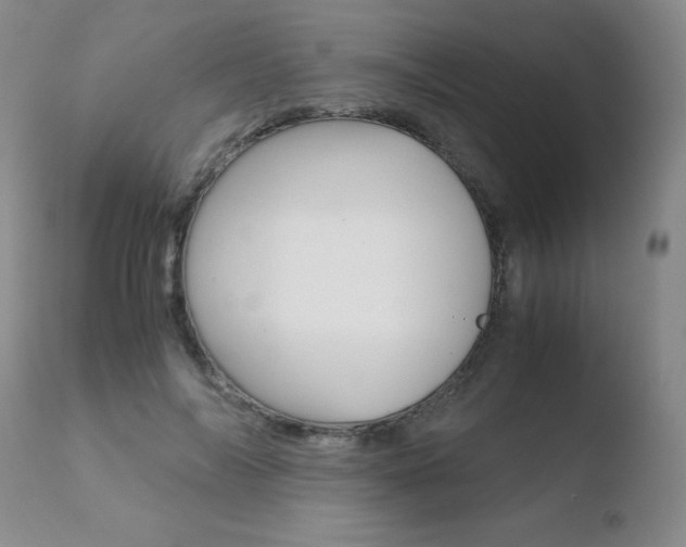 X0000110770694200906150954