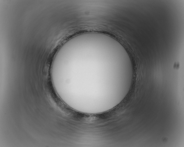 X0000110770695200906150954