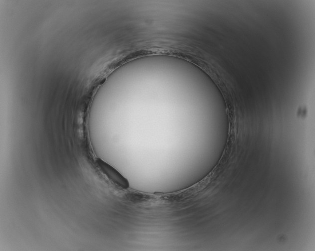 X0000110770696200906150954