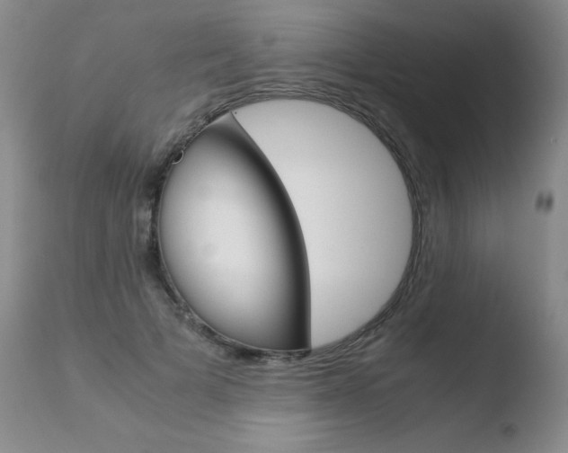 X0000110770697200906150954