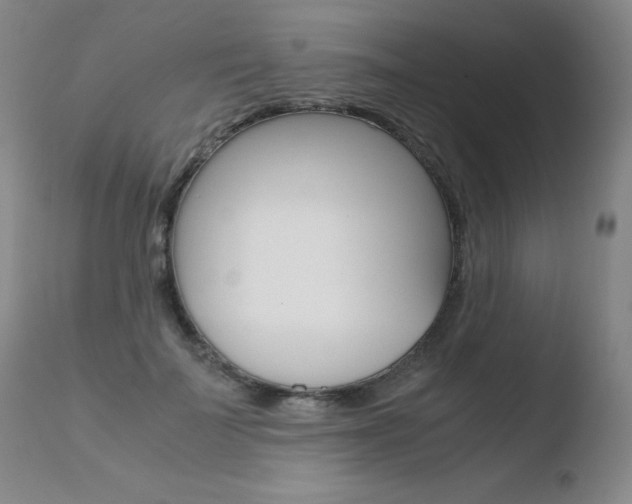 X0000110770699200906150954
