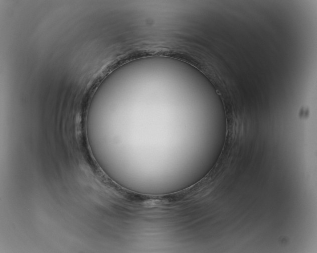 X0000110770700200906150954