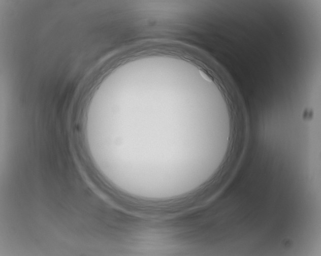 X0000110770701200906150954