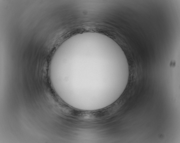 X0000110770702200906150954
