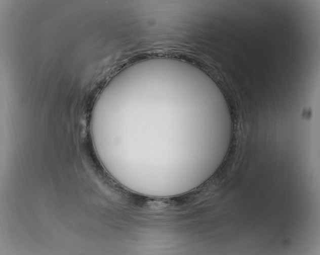 X0000110770703200906150954
