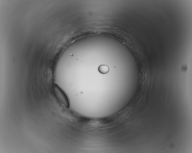 X0000110770704200906150954