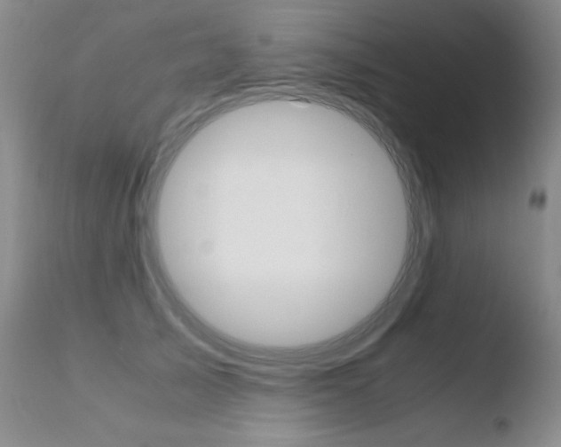 X0000110770705200906150954