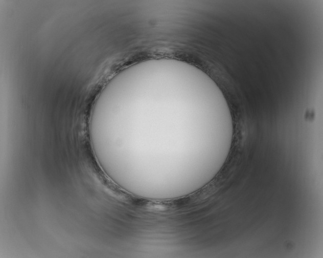 X0000110770706200906150954