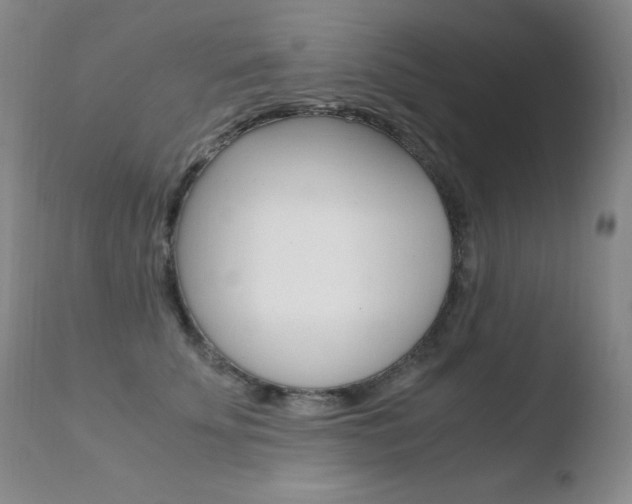 X0000110770707200906150954