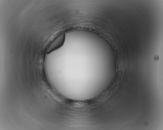 X0000110770708200906150954