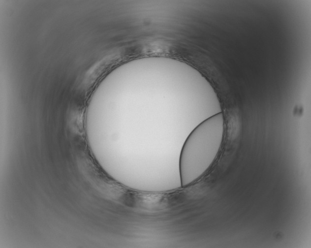 X0000110770709200906150954