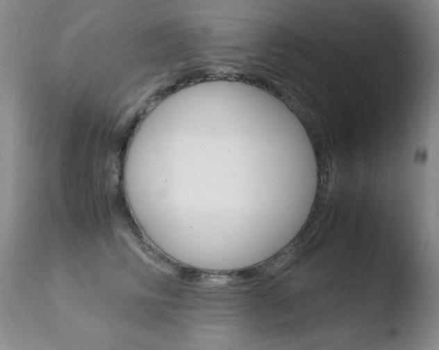 X0000110770710200906150954