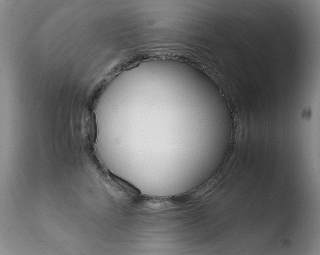 X0000110770712200906150953