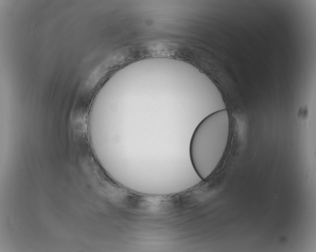 X0000110770713200906150953