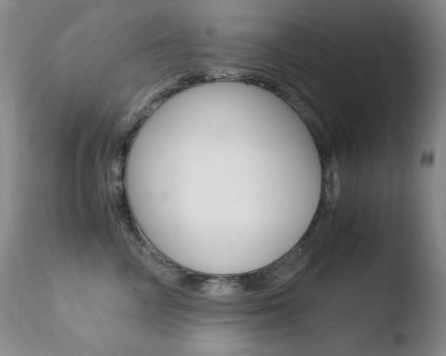 X0000110770714200906150953