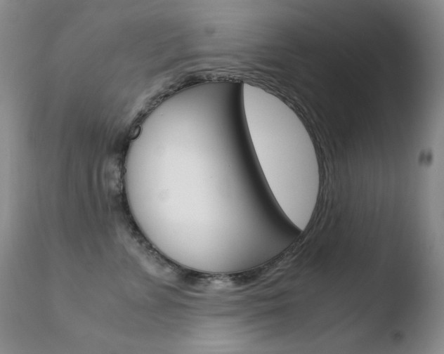 X0000110770715200906150953