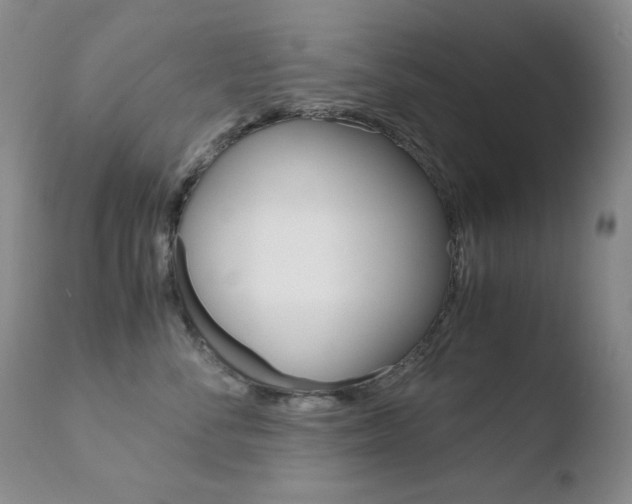 X0000110770716200906150953