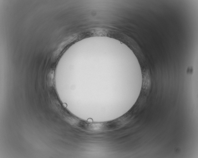 X0000110770717200906150953