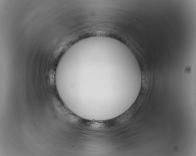 X0000110770718200906150953