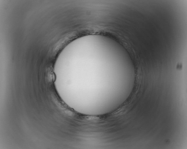 X0000110770719200906150953