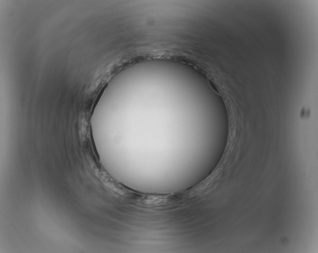 X0000110770720200906150953