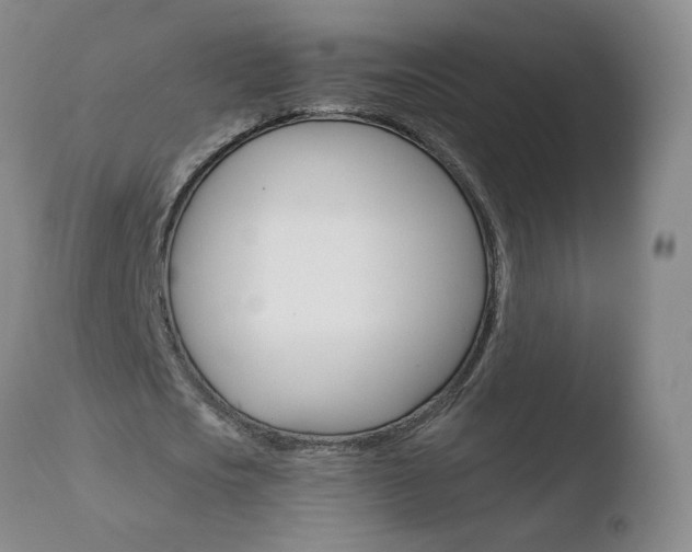 X0000110770721200906150953