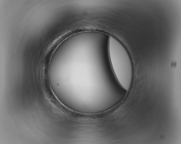 X0000110770722200906150953