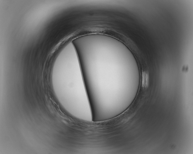 X0000110770723200906150953