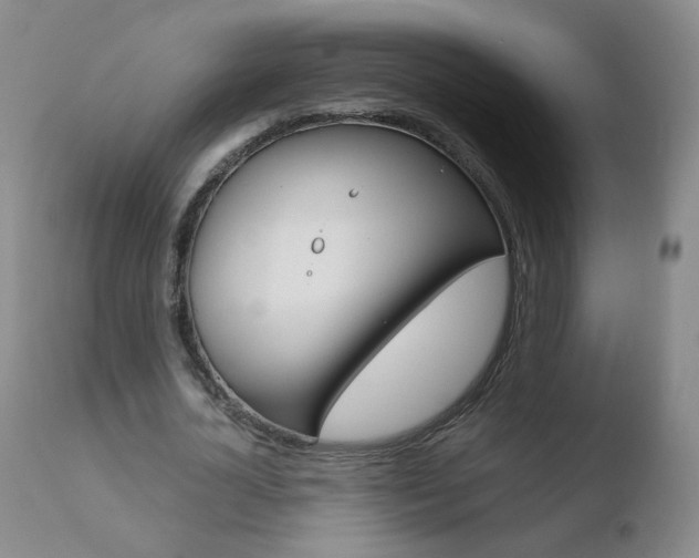 X0000110770724200906150953
