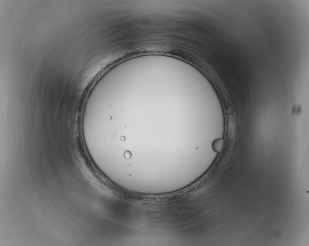 X0000110770725200906150953