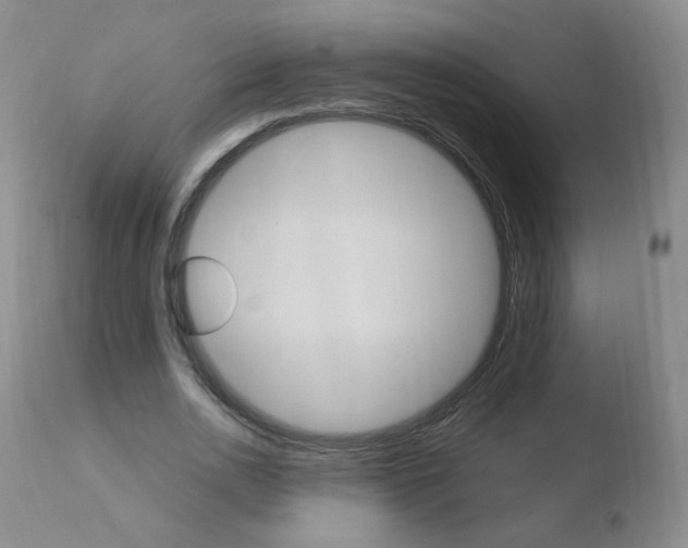 X0000110770726200906150953