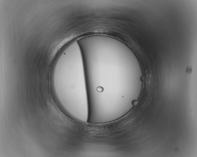 X0000110770727200906150953