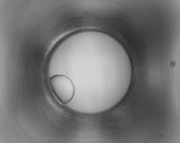 X0000110770728200906150953