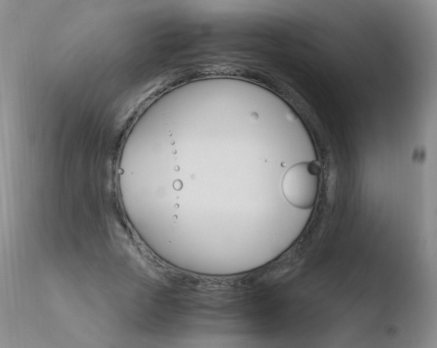 X0000110770729200906150953