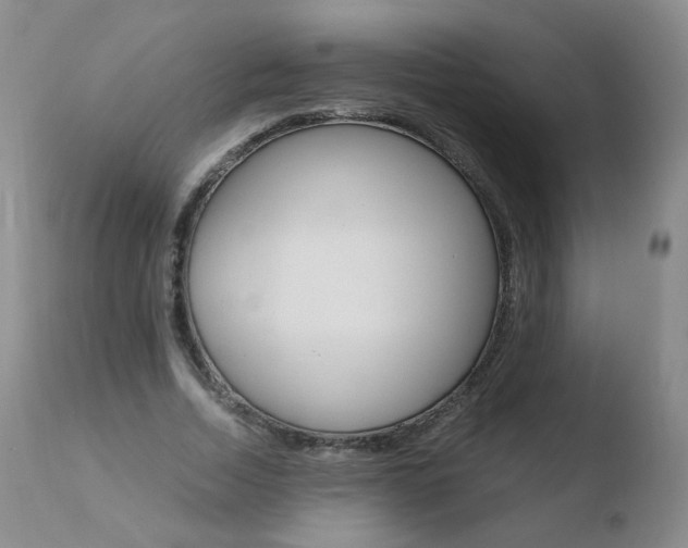 X0000110770730200906150953