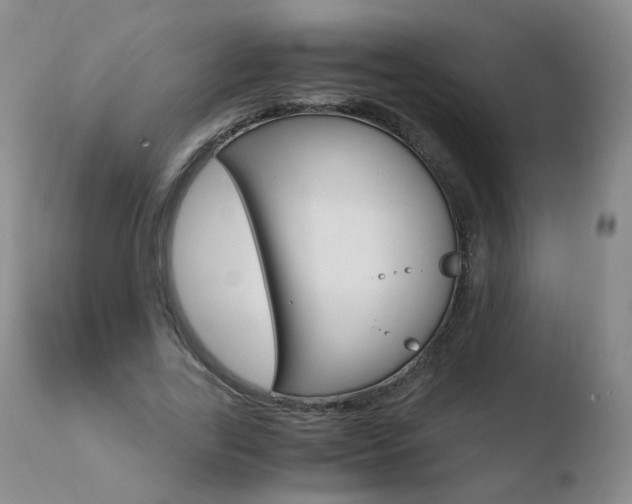 X0000110770731200906150953