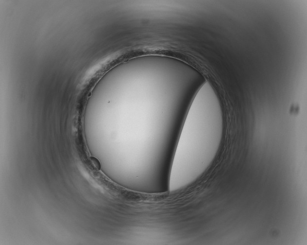 X0000110770732200906150953