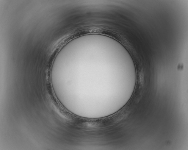 X0000110770733200906150953
