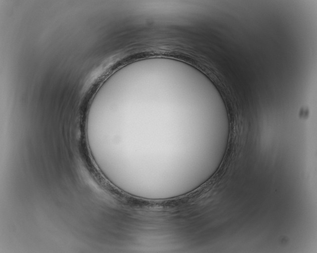 X0000110770734200906150953